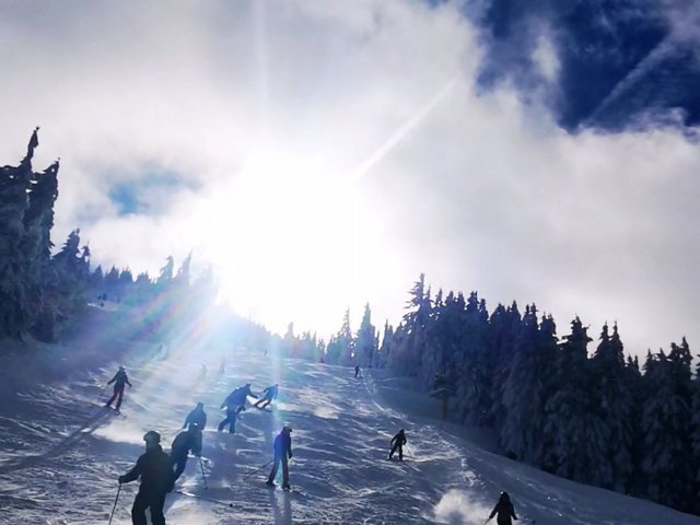 Skiabfahrt 