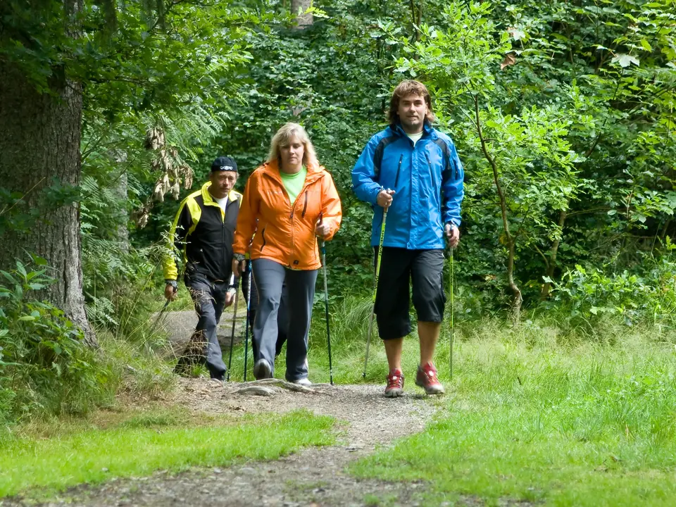 ein paar ist mit Walking Stöcken unterwegs am Waldesrand 