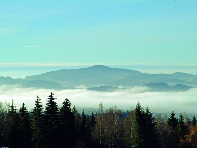 Blick über die Baumwipfel auf die Berge im Bayerischen Wald 