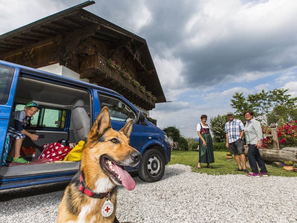 Familienmitglied Hund reist mit 