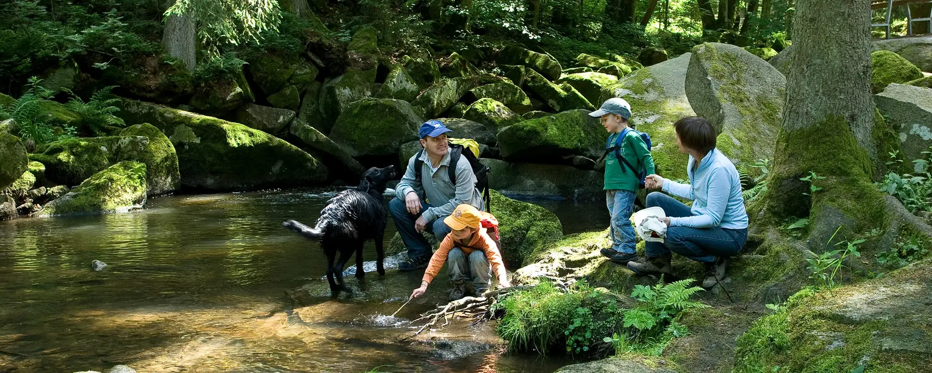 ein Wildwasserbach mitten im Wald in dem sich eine Familie die Füße abkühlt    