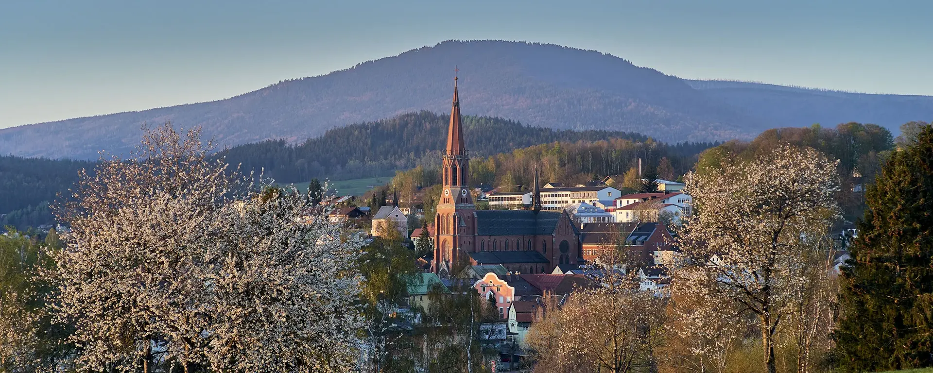 Zwiesel - © Felgenhauer/woidlife-photography Blick auf Zwiesel auf die markante Ziegelstein-Kirche im Mittelpunkt