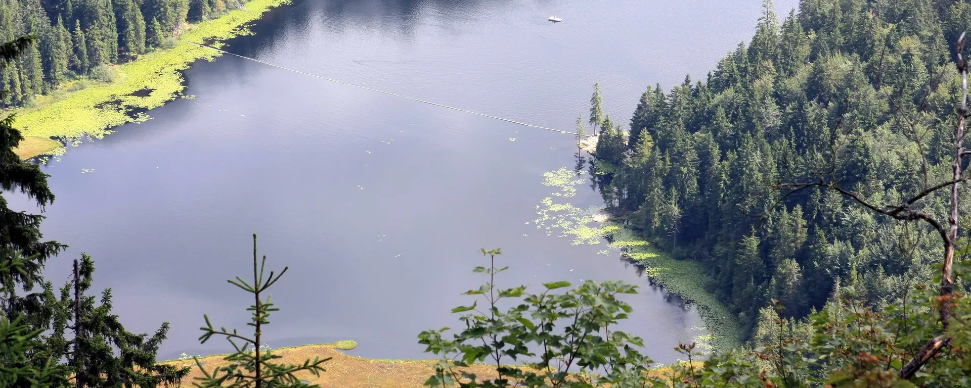 Blick von oben auf den großen Arbersee 