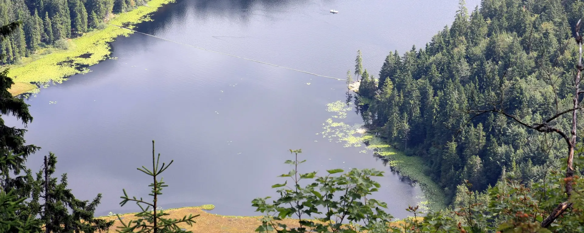 Große Arbersee - © Ostbayern Tourismus TVO Blick von oben auf den großen Arbersee