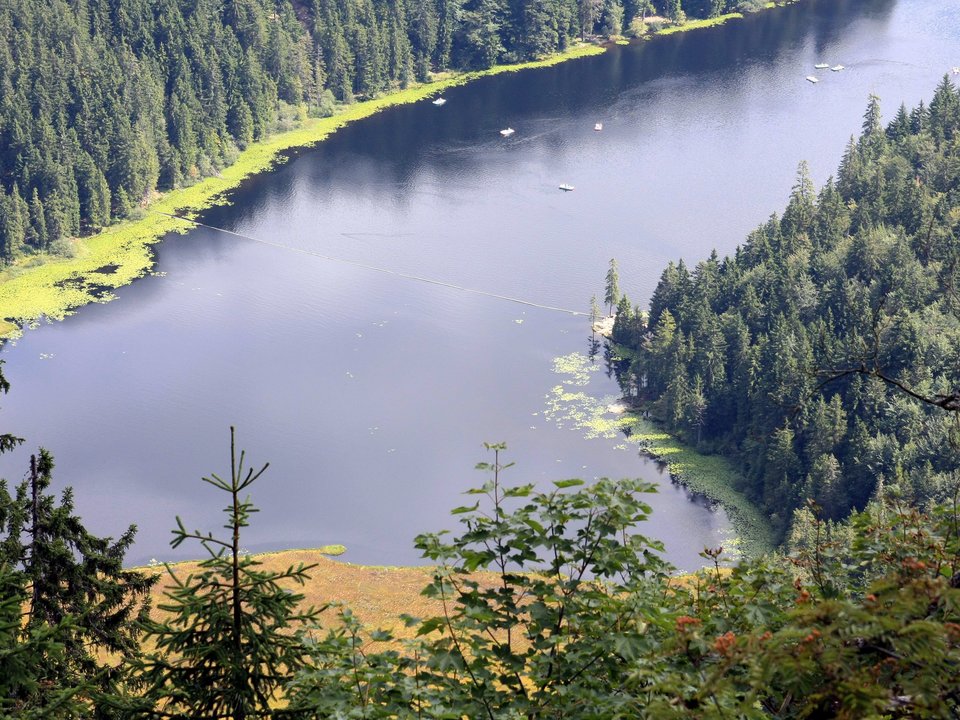 Blick von oben auf den großen Arbersee 