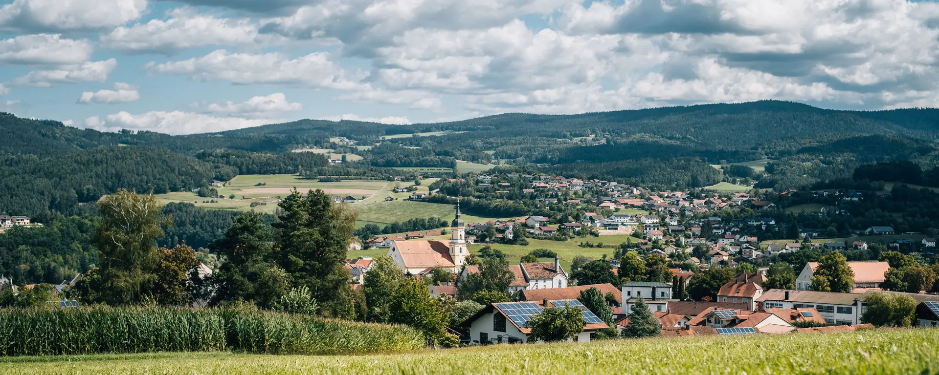 hinter saftigen grünen Wiesen eröffnet sich der Blick auf die Stadt Viechtach  