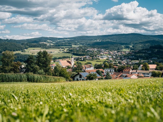 hinter saftigen grünen Wiesen eröffnet sich der Blick auf die Stadt Viechtach  