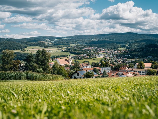 hinter saftigen grünen Wiesen eröffnet sich der Blick auf die Stadt Viechtach  