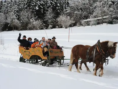 Pferdeschlittenfahrt am Sammerhof © Sammer Markus In der Pferdekutsche unterwegs durch den Winterzauberwald