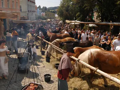 Säumerfest © Touristinformation Grafenau Säumerfest mit mittelalterischen Markttreiben am Stadtplatz Grafenau