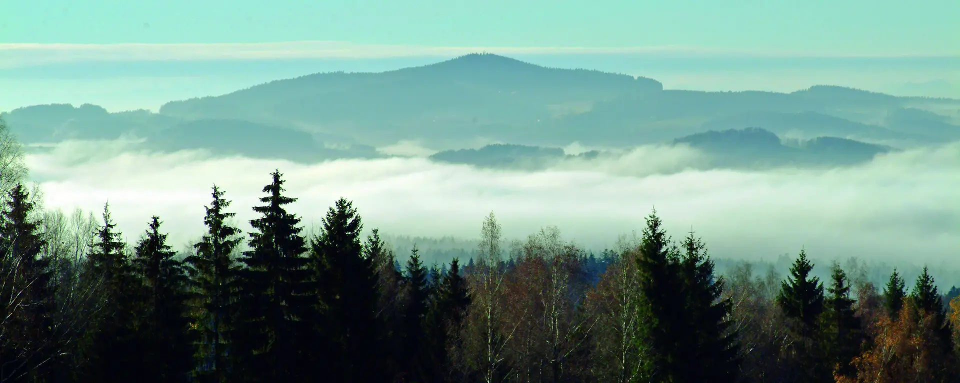 Blick über die Baumwipfel auf die Berge im Bayerischen Wald 