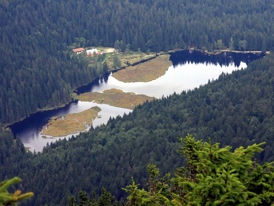 Blick von oben auf den kleinen Arbersee mit den schwimmenden Inseln